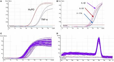 The Effects of Prednisolone Treatment on Cytokine Expression in Patients with Erythema Nodosum Leprosum Reactions